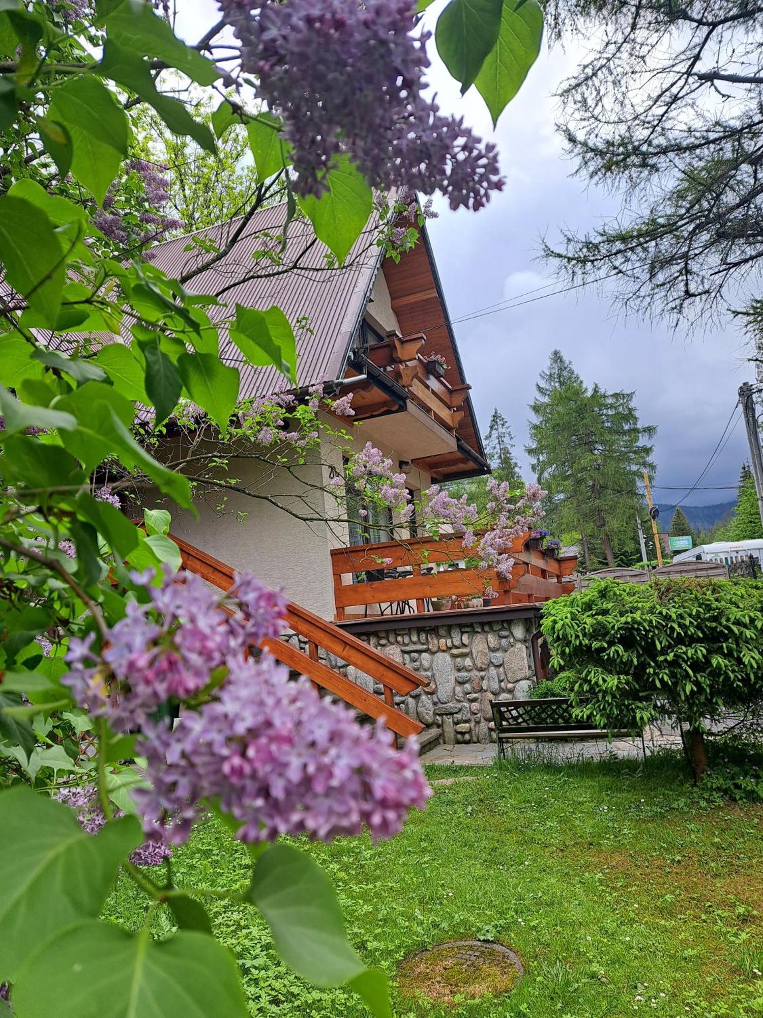 Pokoje Goscinne U Wandy Zakopane Extérieur photo